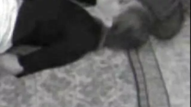 Porno không đăng ký  Khiêu dâm fotoset của tai phim xec hay nhat một cô gái