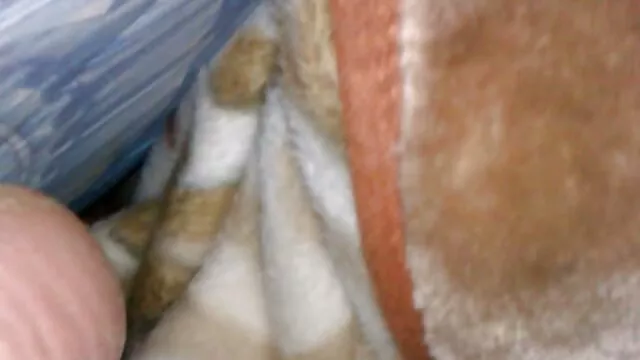 Porno không đăng ký  Joseph cox xec hay nhất