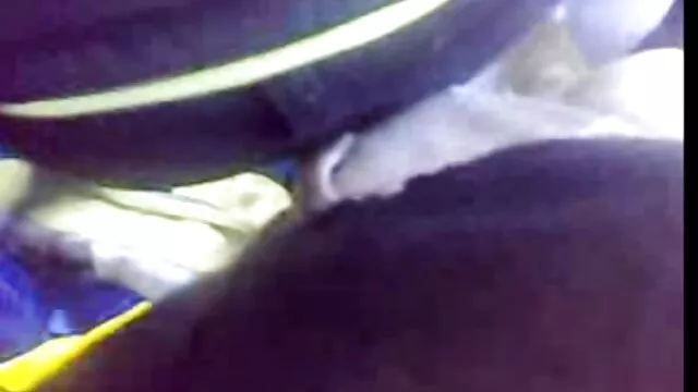 Porno không đăng ký  Li xec nhat moi trăng